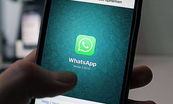 Confira como criar um link para chat no WhatsApp